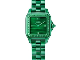 asta-Women Acetate Japan Quartz Watch Jungle Aurora Essence 10401-Acetate Strap